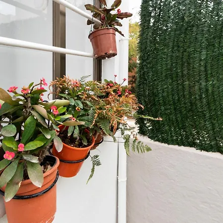 Apartment Little House In Center Almeria